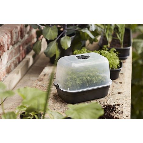 MINI COUVERCLES DE VERGER - 24 CM