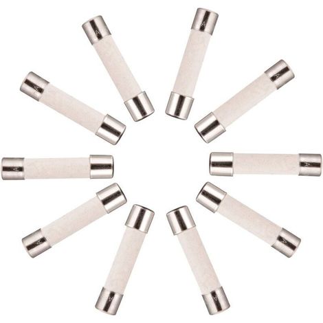 10x Fusible Temporisé (T) en céramique 10A / 250VAC 5x20mm (1/4)