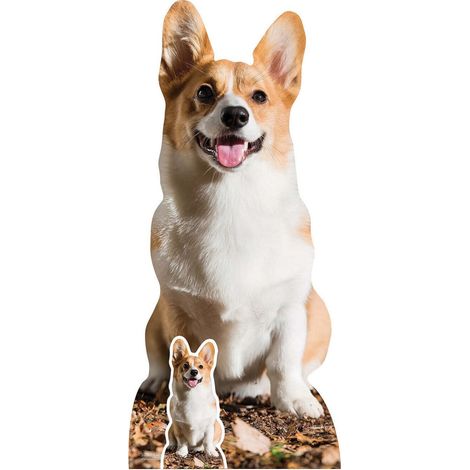 Figurine en carton chien Welsh Corgi Pembroke - chien favori de la reine d’Angleterre Elisabeth - Haut 76 cm (1/5)
