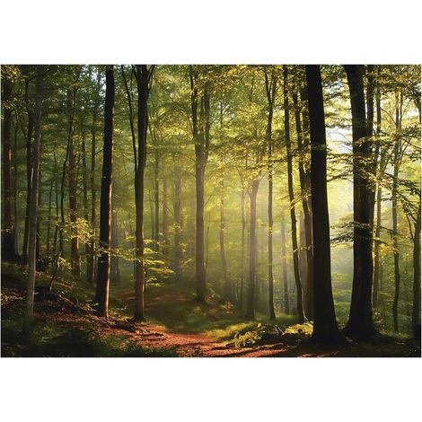Papier peint mural forêt ensoleillée arbres nature intissé grand format design intérieur salon chambre pas cher 150x105 cm (1/5)