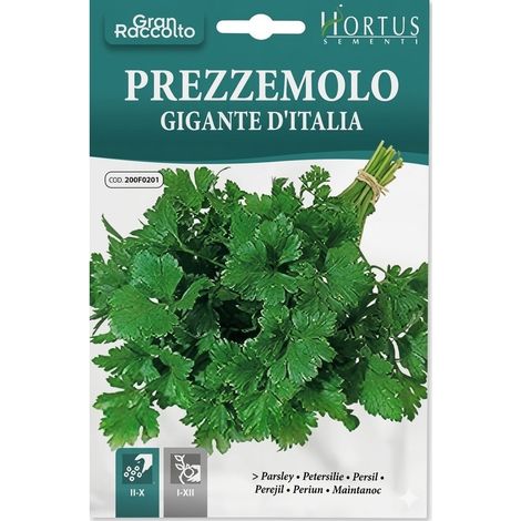 PREZZEMOLO GIGANTE D'ITALIA GRAN RACCOLT