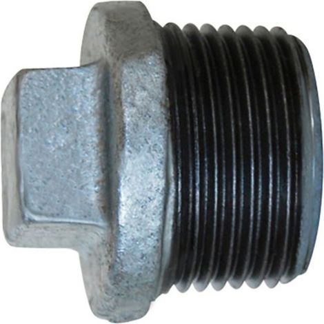 Bouchon Fonte Galvanisé 290 2" (50/60) Mâle - Thermador