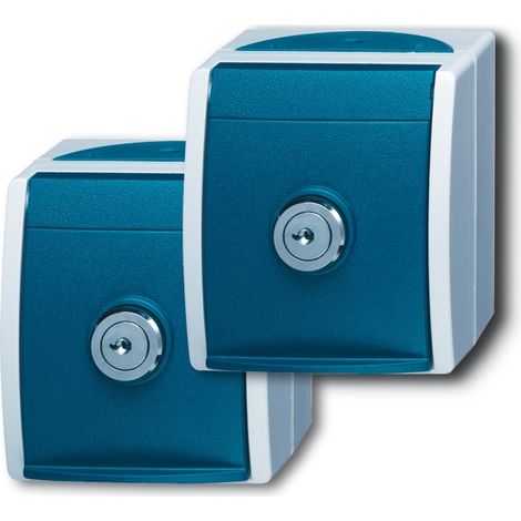 BUSCH-JAEGER ZUBEHÖR STROMVERSORGUNG SCHUKO BLEU, GRIS PRISE DE COURANT (2083-0-0816) 2CKA002083A0816