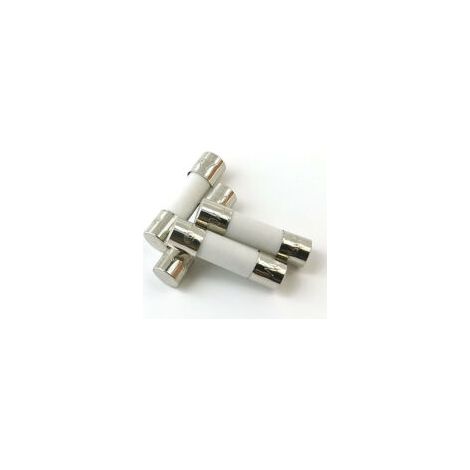 10x Zeitträge Keramiksicherung (T) 10A / 250VAC 5x20mm - Crezuo