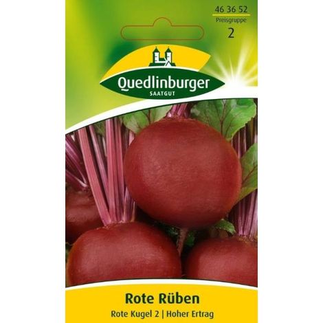 Quedlinburger Rote Rüben Rote Kugel 2 - Gemüsesamen (1/2)