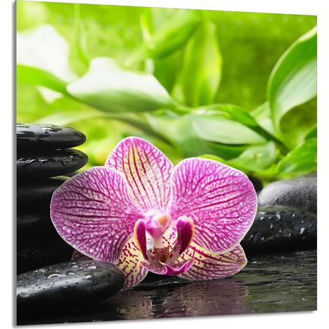 PANNELLO IN VETRO PER CUCINA 60x65 Orchidea (1/5)