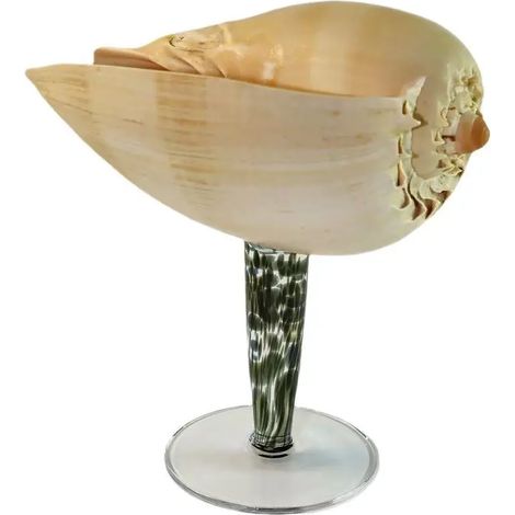 Verre à vin à pied en coquillage naturel, verre artistique en coquillage irrégulier, décoration intérieure.