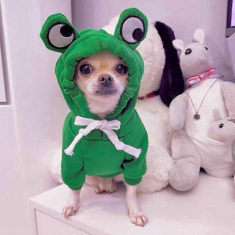 Warme Winterkleidung für Hunde, niedlicher Obst-Hundemantel, Kapuzenpullover, Fleece-Hundekostümjacke für Französische Bulldogge, Chihuahua, Ropa Para Perro, Grün (1/4)