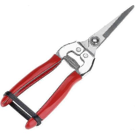Ciseaux de jardin rouges multifonctions pour arbres fruitiers et bonsaïs - 1 pièce (1/4)