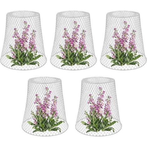 Online Store Tuteur pour végétaux, Cloche de protection pour plantes en métal - Lot de 5, Blanc (1/4)