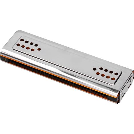 Harmonica Double Face en Do et Sol, 24 Trous Tremolo avec Étui pour Débutants (1/5)