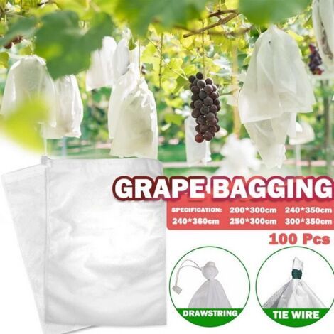 100 Sac Protection Fruits Sacs Filets Protection des Grappes de Raisins Contre Les Oiseaux et Insectes Guêpes Frelons 30 x 20 cm (1/5)