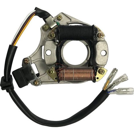 Pièces de moto : Bobine de stator de magnéto pour TaoTao 50, 70, 90, 110, 125 (1/2)