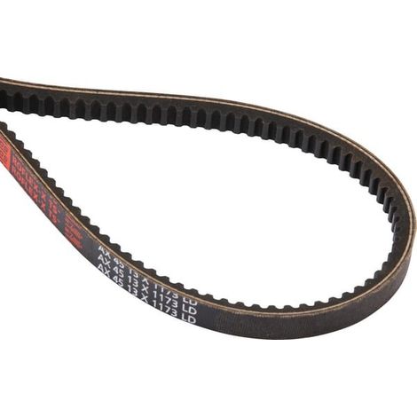 Courroie CASE IH 294462A1