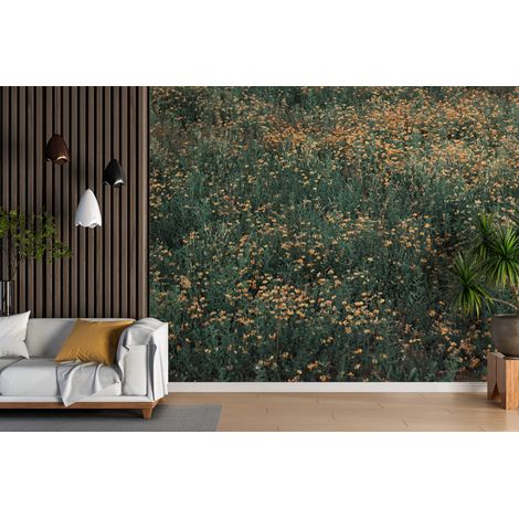 Papier peint campagne prairie sauvage embrumee - 150 x 250 cm (1/2)