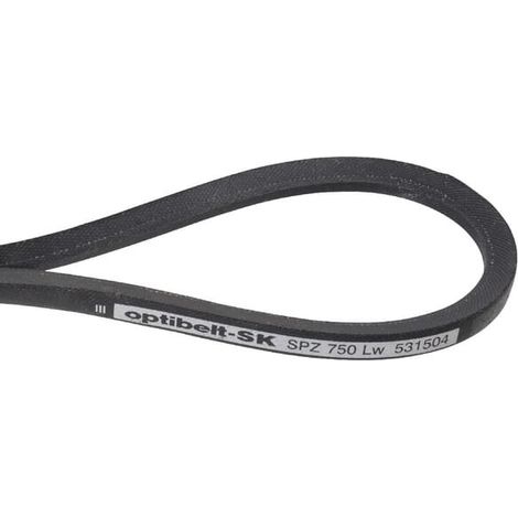 Courroie AL-KO AK531504 (1/2)