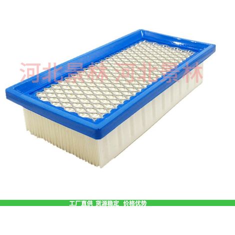 Le filtre à air 4195 496077 691643 est compatible avec l'élément filtrant Briggs AM34093 176400 19B400. (1/4)