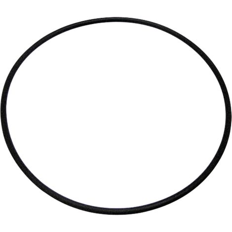 Guarnizione O-ring per pistone di sollevamento 99x3mm per CASE IH 3057615R1 (1/2)