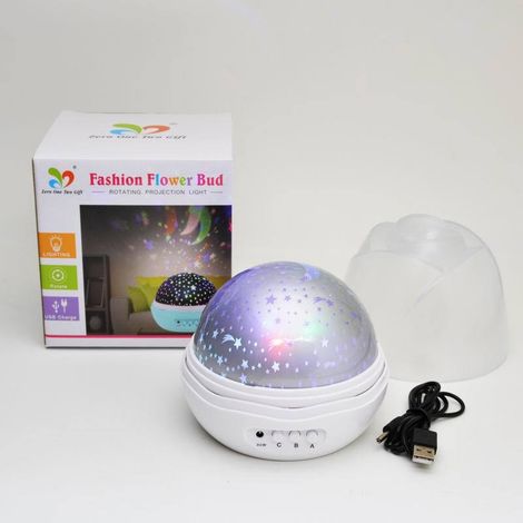 Projecteur ciel étoilé rotatif multicolore, veilleuse LED USB blanc (1/4)
