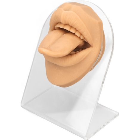 Support souple en silicone couleur peau, modèle de langue humaine réaliste avec support acrylique, présentoir à bijoux pour bouche (1/5)