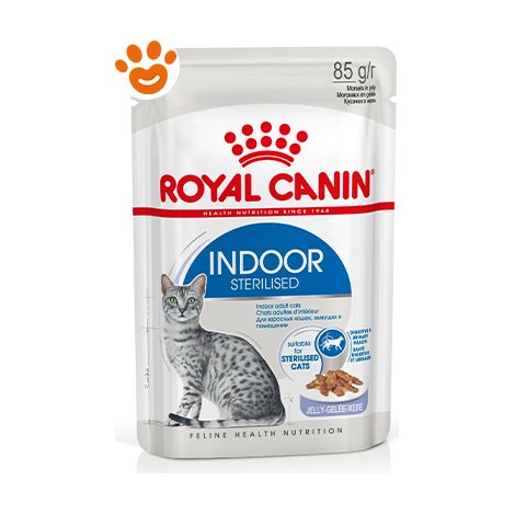 Royal Canin Gatto Indoor Jelly 85gr