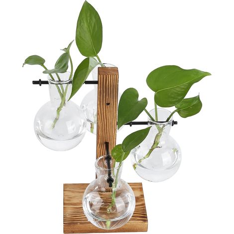 Vase hydroponique à Cadre en Bois, Ornements en Verre de Bureau Transparent Petit Vase de Salon pour décoration de Mariage de Chambre de Bureau de Bureau. (1/5)