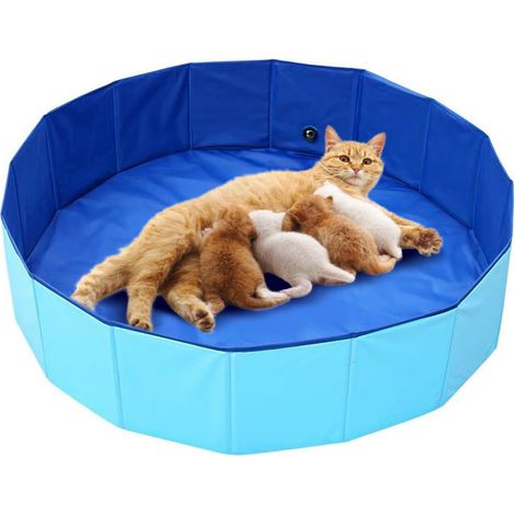 Accessoires pour la livraison d'animaux de compagnie, piscine pliable pour chat, rangement pratique, facile à nettoyer (1/5)