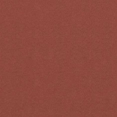 Maison Exclusive - Balkon-Sichtschutz Terracotta-Rot 120x300 cm O