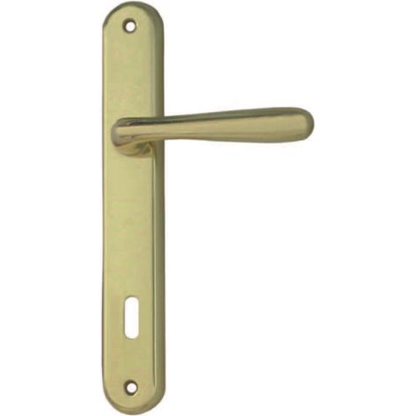 Maniglia karol con placca in zama finitura ottone lucido - mm.90 foro normale