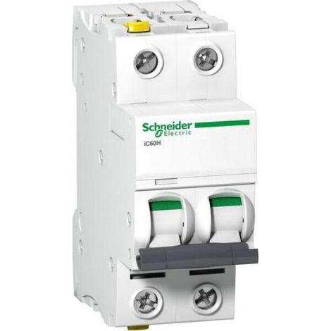 Disjoncteur Schneider Electric 2 pôles 3 A 400 V