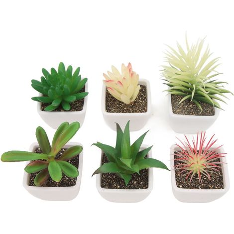Lot de 6 plantes succulentes artificielles en pot, plantes artificielles en pot, fausses plantes d'intérieur en plastique, décoratio (1/5)