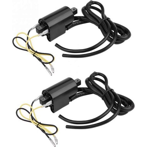 Deux bobines d'allumage pour motos, compatibles avec les modèles GSF400, GSF600, GSF1200 et Bandit. (1/5)