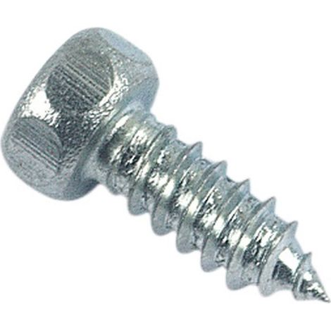 Vis à tôle tête hexagonale Zingué - 4,2 x 31,7 mm - BIVI (1/3)