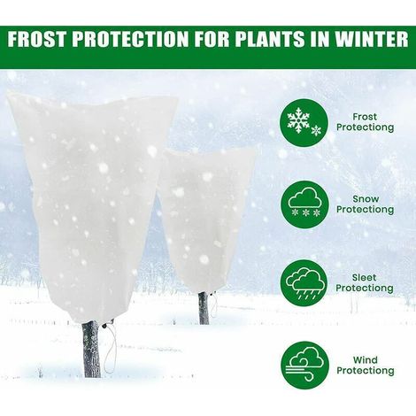 Voile Hivernage Plante, Lot de 2 Housse d'hivernage Plante, 80 x 120cm Housses de Protection pour Plantes contre le froid et le gel, 60g/m² bâche Protection Arbustes Couverture pour Plantes (1/3)
