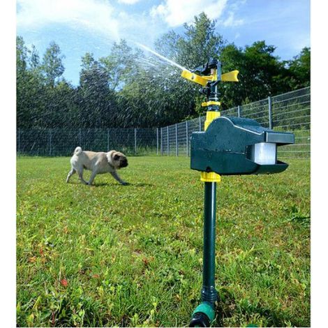 Jet d'eau repousseur d'animaux