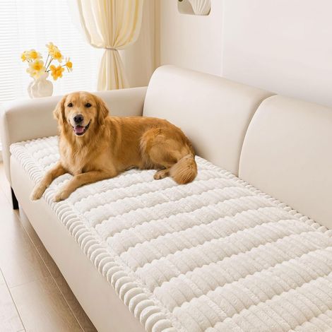 Housse de Canapé Épaisse et Lavable, Antidérapante, Protection pour Animaux de Compagnie, Tapis Tatami et Housse de Canapé-lit 2/3/4 Places (1/5)