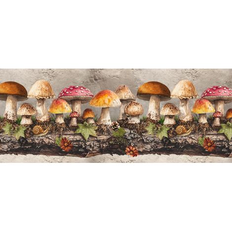 Tappeto Passatoia Cucina Antiscivolo Con Stampa Digitale Dis. Funghi 2657, misura50x50coloreFunghi