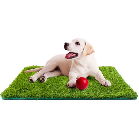 EVERGREENWEB - Tappetino d'Erba Artificiale Per Cani, Gatti, Zerbino d'Erba sintetica - Fori Di Drenaggio Erba Finta Tappeto, Toby misura L (1/3)