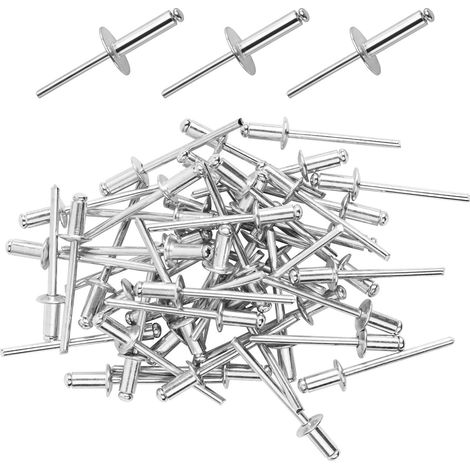 100 Pièces Rivets Aveugles en Aluminium avec Large Bride (1/5)