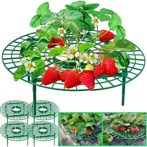 Support fraisier x5 - Rack de culture pour plants de fraises, cadre surélevé anti-pourriture, maintient les fruits hors sol, évite saleté et terre. (1/5)