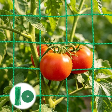 Support Net for Climbing Plants, 5 x 2 m Green Nets Garden Trellis Net for Climbing Plants Outdoor Vegetable Garden for Harvesting Cucumbers Tomatoes Vegetables with 50 Clips for Plants (1/5)