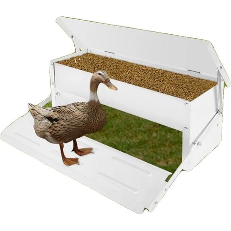 Comedero automático para pollos, capacidad de 8,2 litros, capacidad para 5 kg de alimento, construcción de acero, pedal antideslizante, diseñado para priorizar la higiene. (1/5)