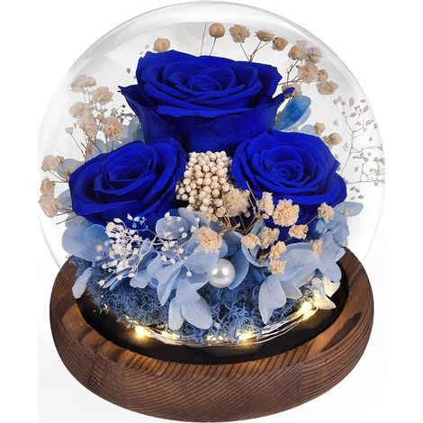 Rose éternelle dans Un Verre avec Lumière, Fleurs Infinies Fait à la Main, Cadeau pour Femme Maman Grand-mère épouse Sœur Petite Amie, pour Anniversaire Saint-Valentin Noël Fête des Mères (1/5)