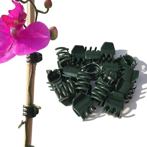 Pinces à plantes, pinces à orchidées, pinces de jardin, vert foncé, lot de 50 (1/5)