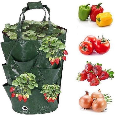 Jardinière suspendue pour fraisiers tomates et légumes 6 trous de plantation sac de culture 20 x 35 cm vert (1/5)