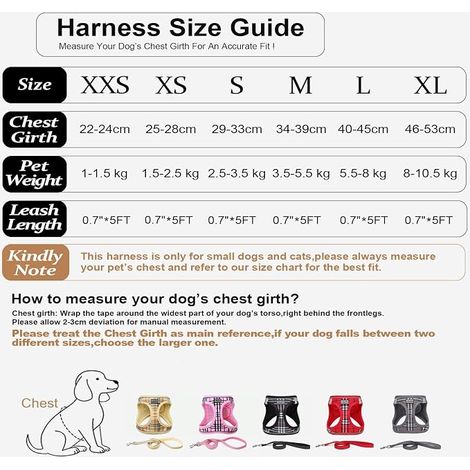 Dog Harness and Leash - Breathable - Reflective - Step-in Harness for Dogs, Padded Comfort Soft Mesh Vest for Small Dogs Cats for Walking, Running (Pink, S) (1/4)