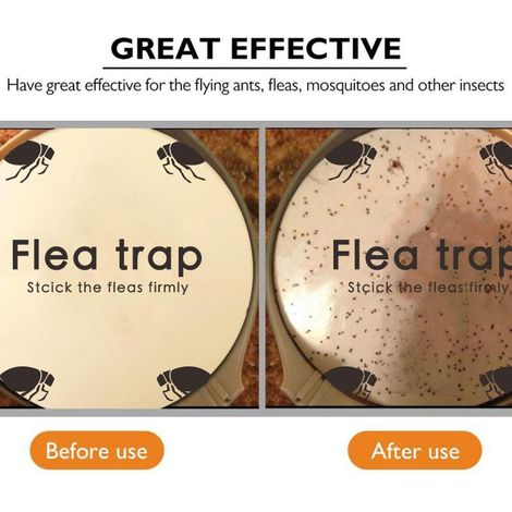 5 Pièces Pièges à Puces Autocollants Ronds, Mouches Collantes Dôme Recharge pour Maison Chambre Niche Animaux (1/4)