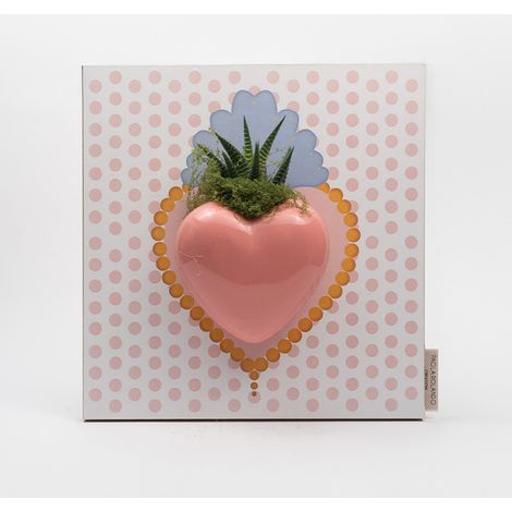 Pianta grassa Succulenta vaso ceramica Made in Italy Cuore Pois - Rosa