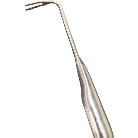 Lot de 1 arracheuse de mauvaises herbes en acier inoxydable, outil de désherbage de jardin, extracteur de plantes en forme d'arc, entièrement en acier inoxydable, en sachet. (1/5)