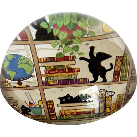 Presse-papier chatons dans la bibliothèque (1/2)